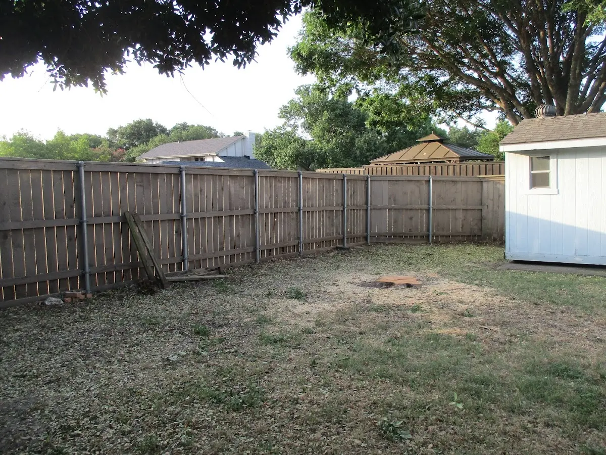 Cleared yard after professional tree removal in Chatfield